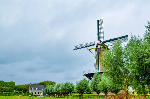 Goes, de Nederlanden, augustus 2019. Op het platteland van de ze — Stockfoto