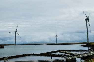 Oosterscheldekering, Hollanda, Ağustos 2019. Zeelan 'da