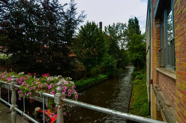 ブルージュ フランダース ベルギー 2019年8月 運河の上の橋は街のシンボルです かなりのプランターが場所を特徴づけています — ストック写真