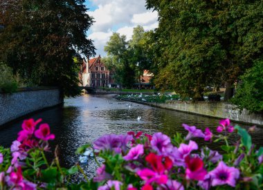 Bruges, Belçika. Ağustos 2019. Sashuis kilidiyle köprüden tarihi merkeze doğru bakın. Bir ekici, gözü şehre yönelten kanalı çerçeveler. Yanlarda büyük yeşil yapraklar var..