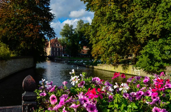 Brujas Bélgica Agosto 2019 Vista Hacia Centro Histórico Desde Puente —  Fotos de Stock