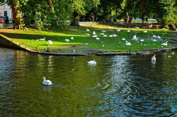 Brujas Bélgica Agosto 2019 Plaza Del Viñedo Con Parque Caracteriza —  Fotos de Stock