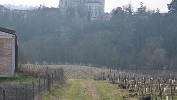 Costigliole d 'Asti, Piedmont, İtalya. Mart 2020. Köyü saran üzüm bağlarından kaleye doğru güzel bir manzara. Eğim hareketi. — Stok video