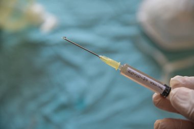 Coronavirus aşısı olan bir şırınganın yakın çekim görüntüsü. Onu tutan el pompaya basıyor ve iğneden bir damla çıkıyor. Bulanık arka planda bir maske ve dezenfekte edici jel var.