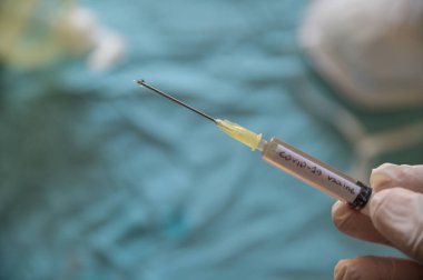 Coronavirus aşısı olan bir şırınganın yakın çekim görüntüsü. Onu tutan el pompaya basıyor ve iğneden bir damla çıkıyor. Bulanık arka planda bir maske ve dezenfekte edici jel var.