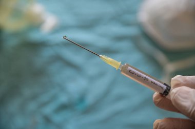 Coronavirus aşısı olan bir şırınganın yakın çekim görüntüsü. Onu tutan el pompaya basıyor ve iğneden bir damla çıkıyor. Bulanık arka planda bir maske ve dezenfekte edici jel var.