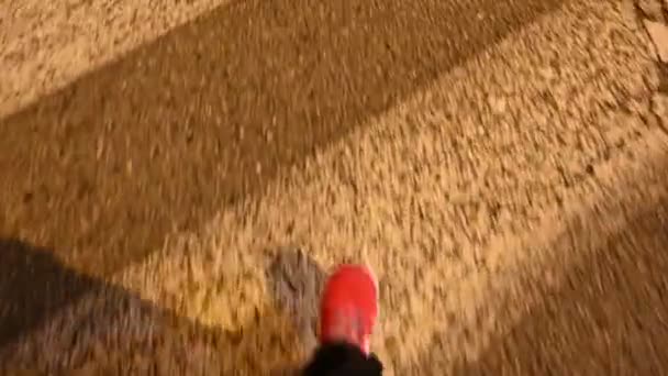Bovenaanzicht van de voeten met rode sportschoenen die over de zebra kruising lopen. Nachtbeelden. — Stockvideo