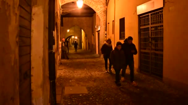 Ferrara Italien December 2019 Nattbilder Delle Valvet Karaktäriseras Kullerstensgatan Och — Stockvideo