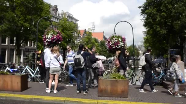 Άμστερνταμ Ολλανδία Αύγουστος 2019 Ένας Από Τους Τύπους Καναλιών Στην — Αρχείο Βίντεο