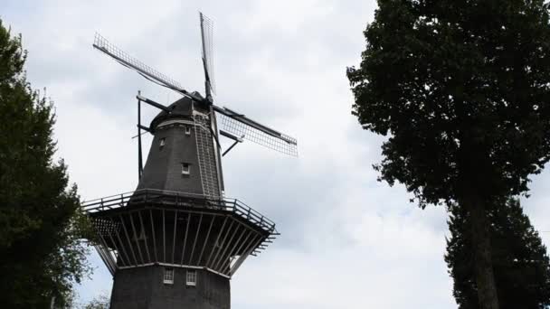 Amsterdam Olanda August 2019 Moară Vânt Oraș Viață Antică Modernă — Videoclip de stoc