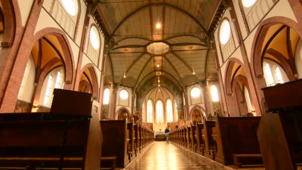 オランダへ 2019 教会の内部の静的な映像父ダミアン教区 — ストック動画