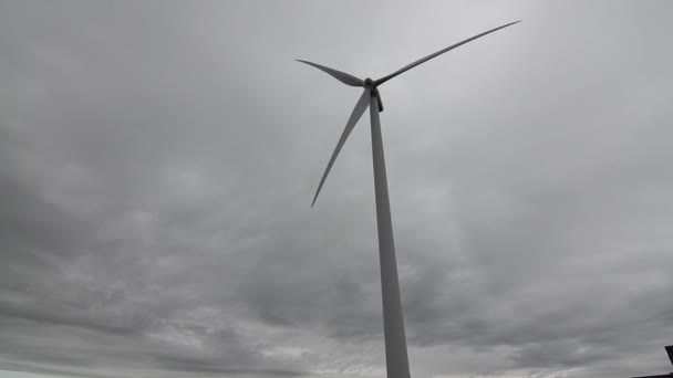 Holland North Sea August 2019 Gray Day Wind Turbine Turns — Stock Video