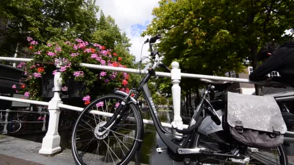 Delft Hollanda Ağustos 2019 Büyüleyici Büyüleyici Kanallar Ekicilerle Süslenmiş Küçük — Stok video