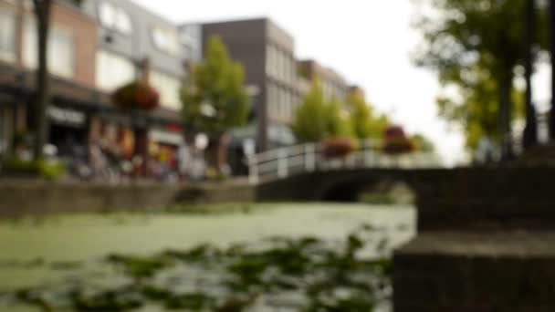 荷兰德尔夫特 2019年8月 迷人迷人的运河 与装饰着植物的小桥相交 从模糊图像转换为锐利图像 — 图库视频影像