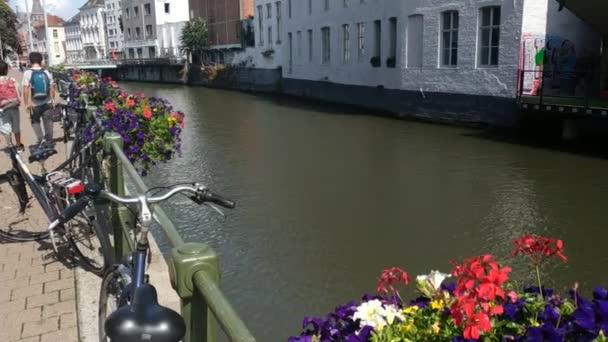 Flandres Bélgica Agosto 2019 Lado Igreja São Nicolau Vista Direção — Vídeo de Stock