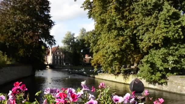 Brugge België Augustus 2019 Vanaf Een Brug Het Kanaal Met — Stockvideo