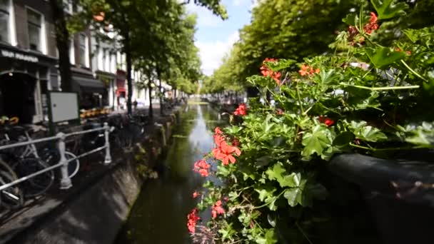 Delft Nederland Augustus 2019 Charmante Pittoreske Grachten Doorkruist Door Bruggetjes — Stockvideo