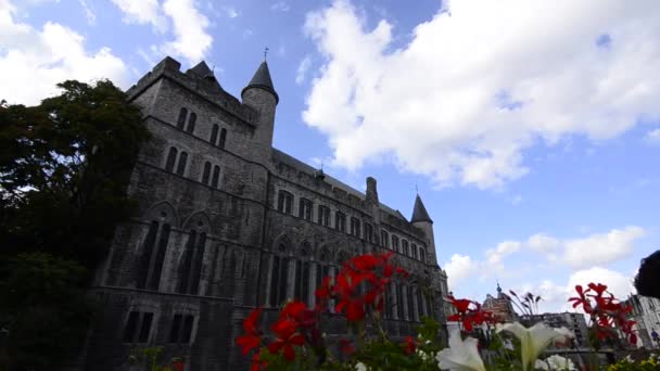 2019年8月 比利时佛兰德 优雅的魔鬼杰拉尔德城堡 前景中的花朵 — 图库视频影像