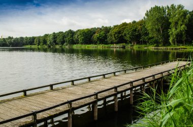 Hollanda, Zeeland - Ağustos 2019: Bir kamp alanının güzel göleti: ahşap iskele suya gider, arka planda orman kıyıya doğru akar..