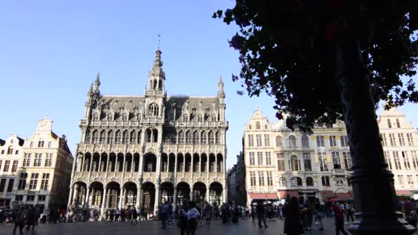 Brüksel Belçika Ağustos 2019 Grand Place Birçok Turistin Buluşma Noktası — Stok video