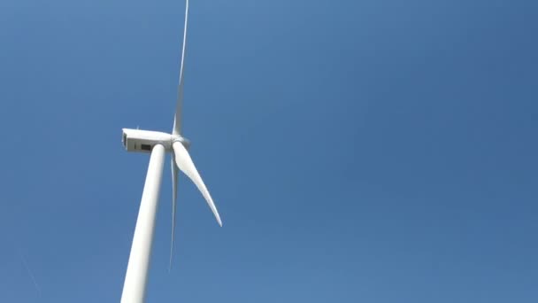 Zélande Hollande Août 2019 Éolienne Avec Bandes Rouges Jour Ensoleillé — Video