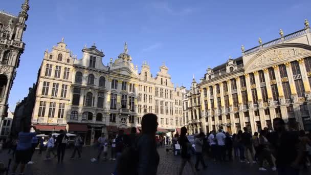 Brussels Belgium August 2019 Grand Place Surrounded Beautiful Historic Buildings — Stock Video