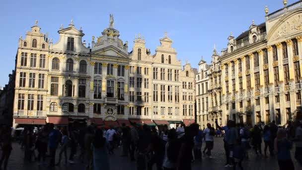 Брюссель Бельгія Серпень 2019 Гранд Плейс Оточений Гарними Історичними Будівлями — стокове відео
