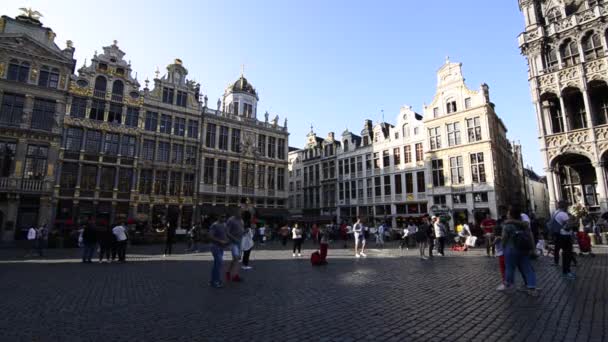 Брюссель Бельгія Серпень 2019 Гранд Плейс Оточений Гарними Історичними Будівлями — стокове відео