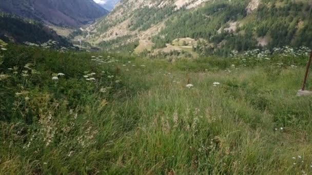 Dağlarda Nefes Kesici Bir Vadi Manzarası Santa Anna Vinadio Piedmont — Stok video
