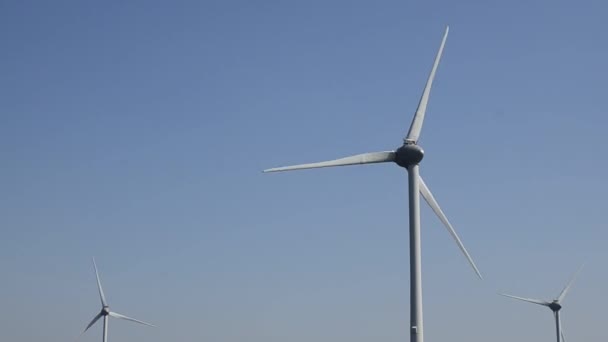 荷兰奥斯特谢尔代克2019年8月3个风力涡轮机靠近大海 有规律地安静运行 — 图库视频影像