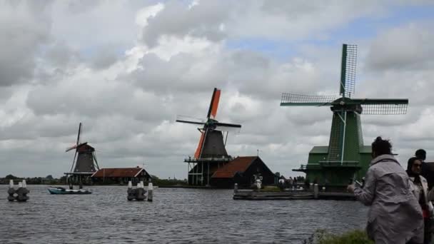 Zaanse Schans Hollanda Ağustos 2019 Kuzeydoğu Amsterdam Zaan Nehri Üzerinde — Stok video