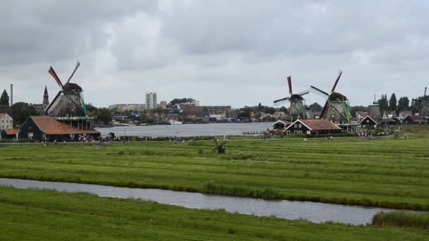 Zaanse Schans Holland Augusti 2019 Nordöstra Amsterdam Ett Litet Samhälle — Stockvideo