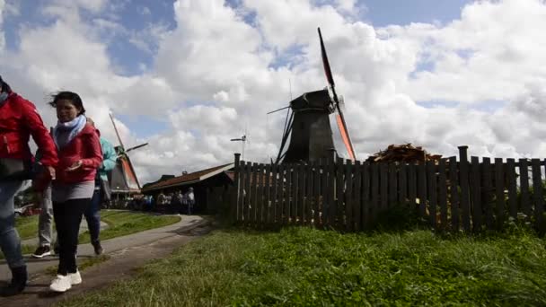 Zaanse Schans Holandia Sierpień 2019 Północno Wschodni Amsterdam Mała Miejscowość — Wideo stockowe