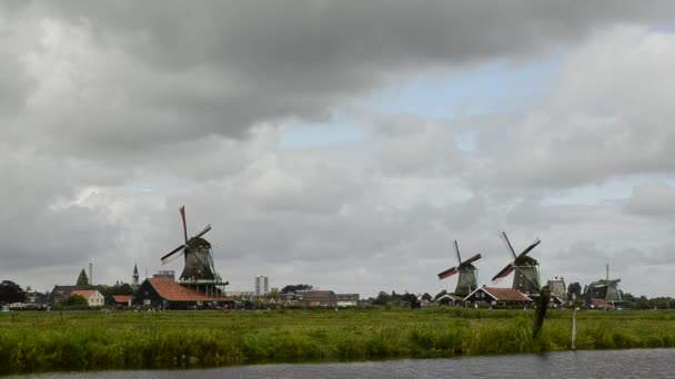 Zaanse Schans Holandia Sierpień 2019 Północno Wschodni Amsterdam Mała Miejscowość — Wideo stockowe