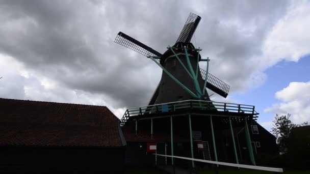 Zaanse Schans Hollanda Ağustos 2019 Kuzeydoğu Amsterdam Zaan Nehri Üzerinde — Stok video