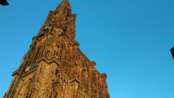 Strasbourg France Août 2019 Magnifique Cathédrale Notre Dame Avec Ses — Video