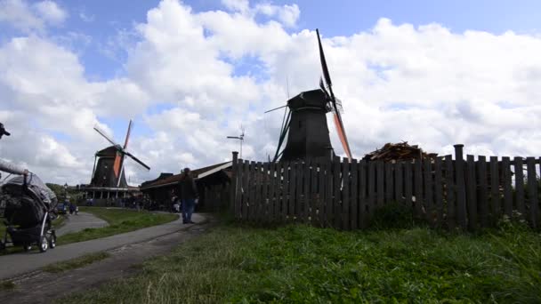 Zaanse Schans Hollanda Ağustos 2019 Kuzeydoğu Amsterdam Zaan Nehri Üzerinde — Stok video