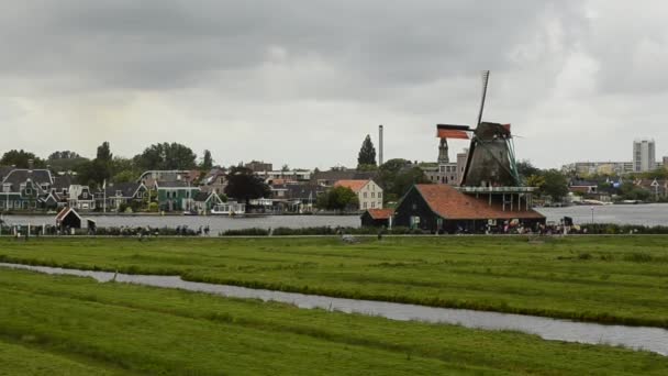 Zaanse Schans Hollanda Ağustos 2019 Kuzeydoğu Amsterdam Zaan Nehri Üzerinde — Stok video