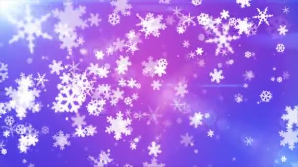 Broadcast Snow Flakes Blue Magenta Events Loopable — Vídeo de Stock