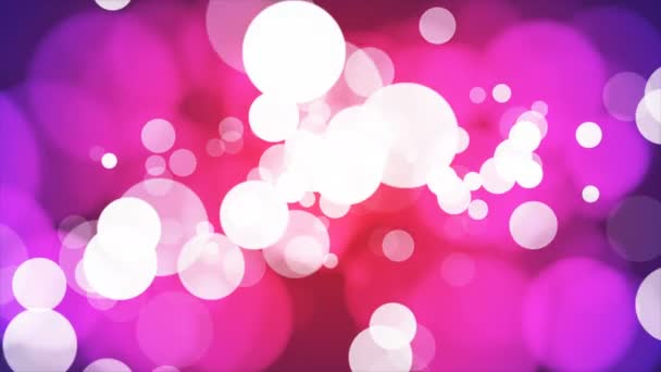 Broadcast Light Bokeh Red Magenta Purple Events Loopable — Stock Video
