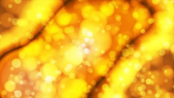 Broadcast Light Bokeh Golden Orange Gul Evenemang Loopable — Stockvideo