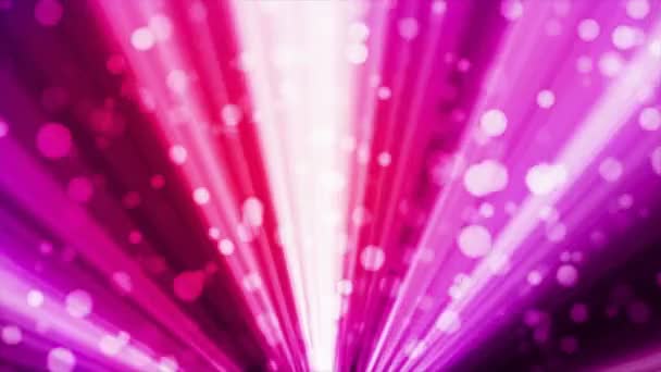 Rundfunklicht Bokeh Magenta Red Events Loopable — Stockvideo