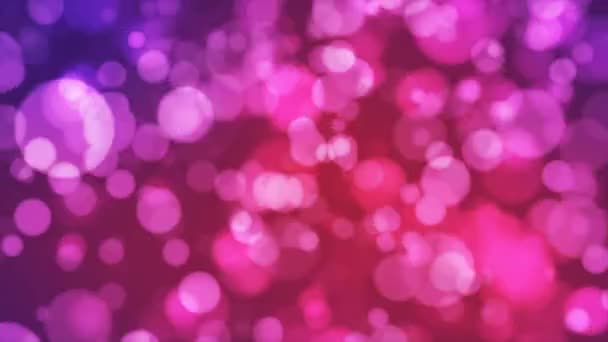 Uitzending Light Bokeh Magenta Purple Evenementen Loopbaar — Stockvideo