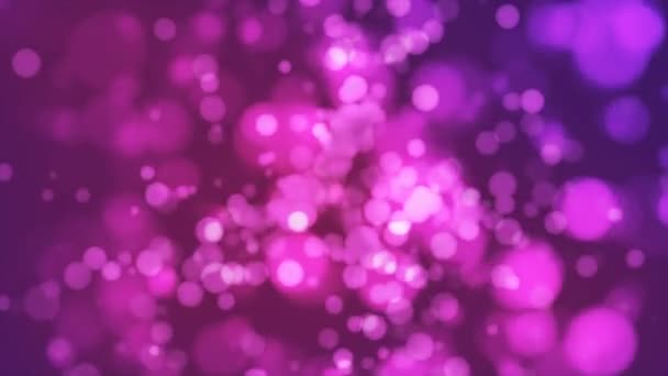 Uitzending Light Bokeh Magenta Purple Evenementen Loopbaar — Stockvideo