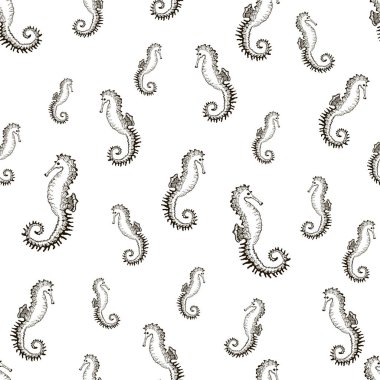 deniz atı ile vektör seamless modeli.