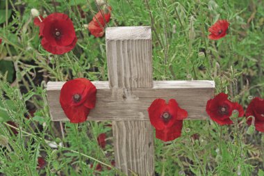Remembrance day a poppy and a wooden cross - A wooden cross standing upright with  poppies growing around it's base and green foliage in the background clipart