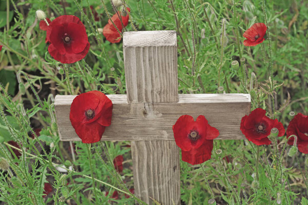 Remembrance day a poppy and a wooden cross - A wooden cross standing upright with  poppies growing around it's base and green foliage in the background