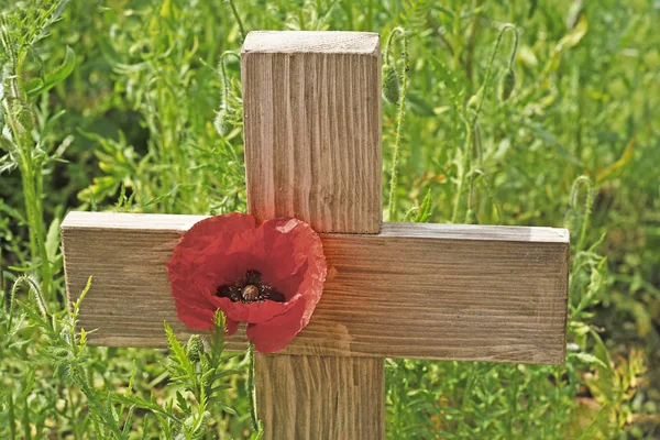 Remembrance Day Poppy Wooden Cross Wooden Cross Standing Upright Poppy — Stock Photo, Image
