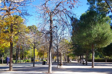 Sıradan bir gün Park Retiro, Madrid, İspanya