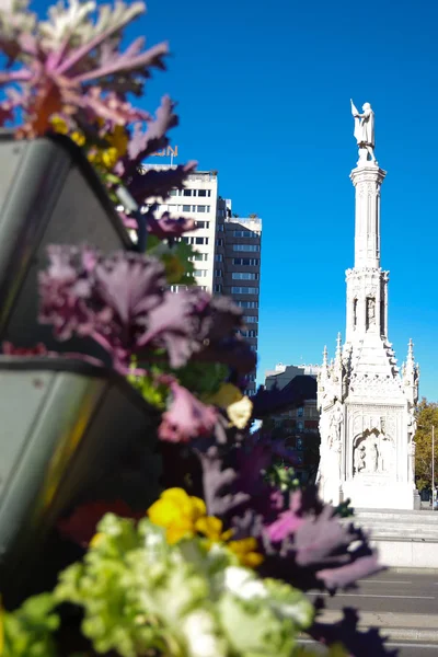 Blomdekoration nära Columbus kolonn, Madrid, Spanien — Stockfoto